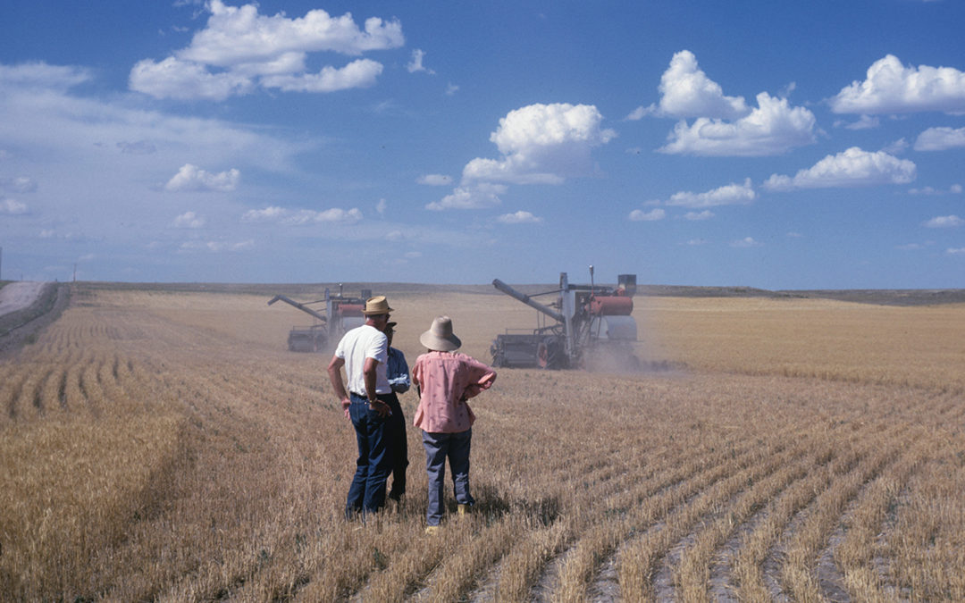 AMERICAN HARVEST, a book talk with Marie Mutsuki Mockett