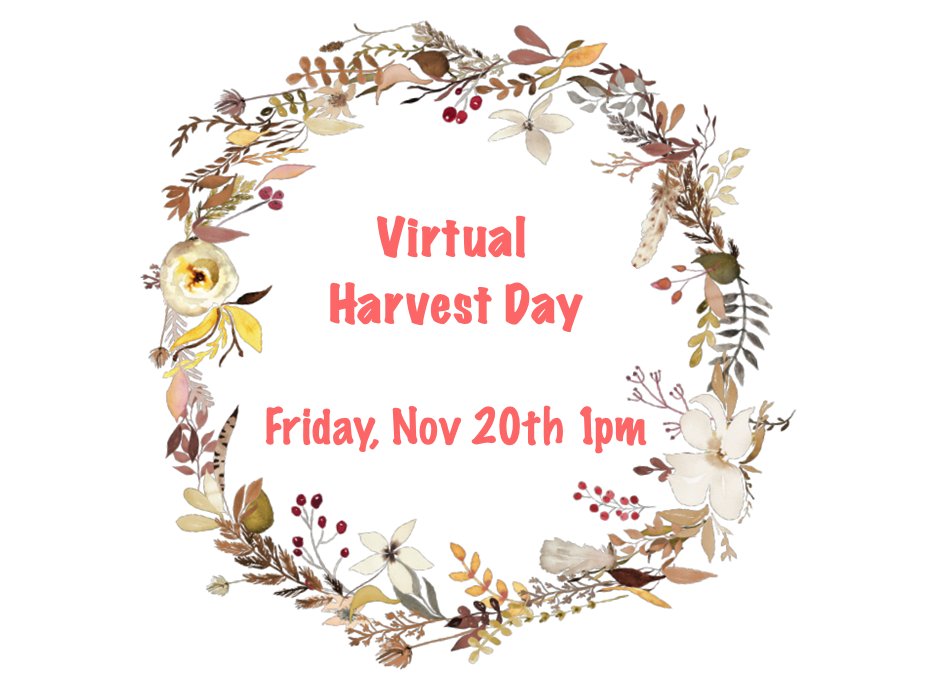 J-Sei’s Virtual Harvest Day