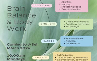 Brain, Balance & Body Work