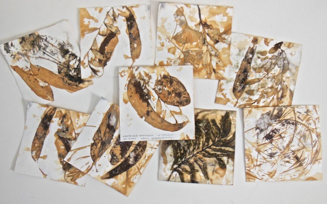 Botanical Printing on Paper