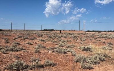 Old Leupp, former site of Native American Boarding School and Nikkei Isolation Center