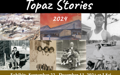 TOPAZ STORIES 2024