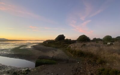 Berkeley Shoreline, The North Basin Strip